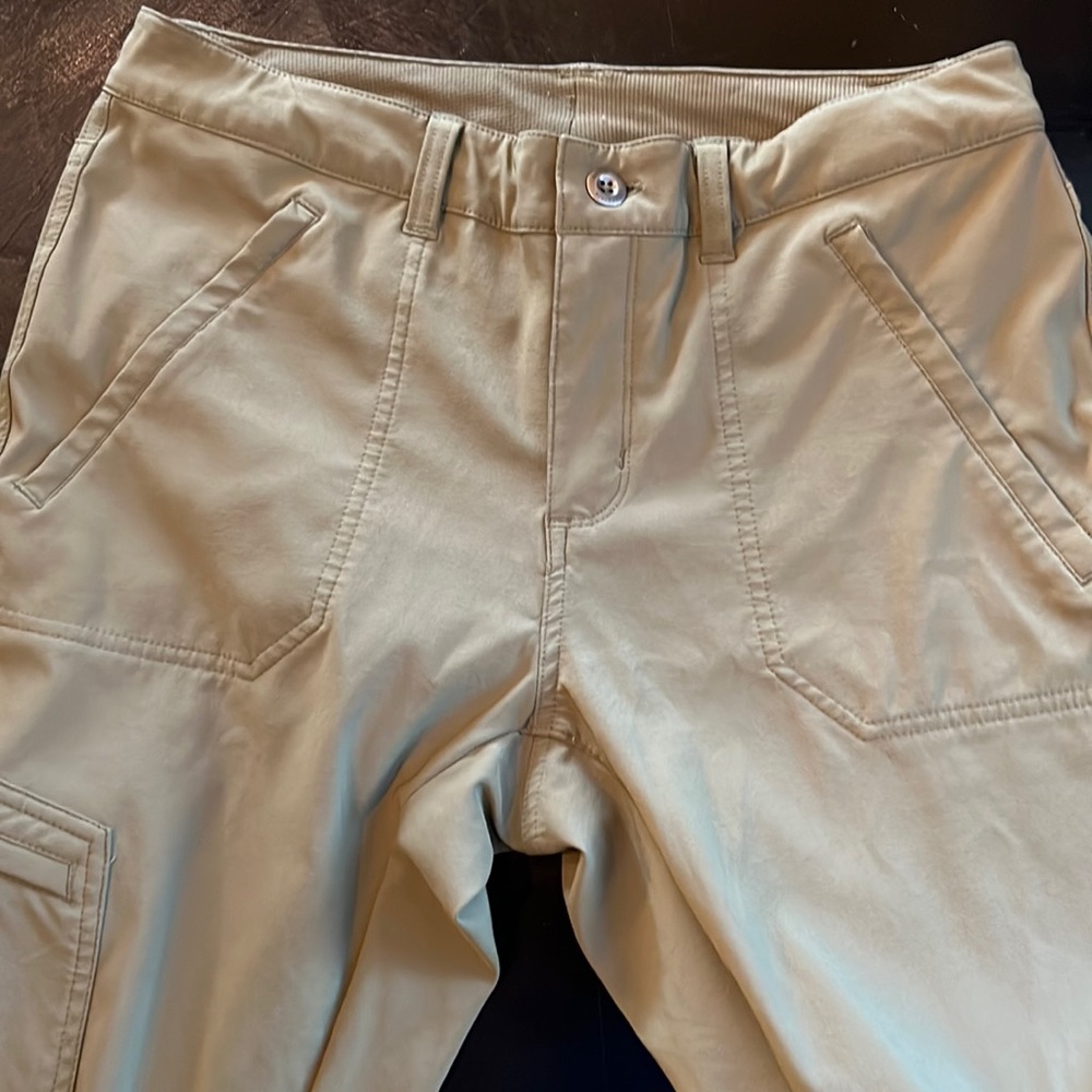 Patagonia outlet cargo pants.